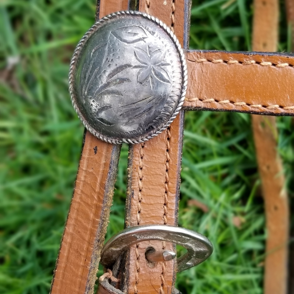 Bridle and breast collar horse